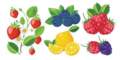 Fruits and berries set. Strawberry, raspberry, blueberry, lemon. illustration vector