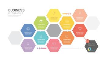 Infographic hexagon diagram template for business, presentation infographics. vector