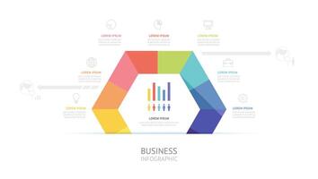 hexagon pie chart infographic template 7 steps for business. vector