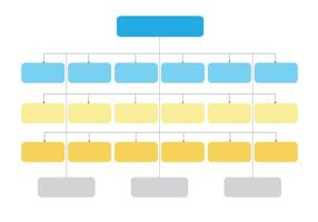 Infographic flowchart for organization vector