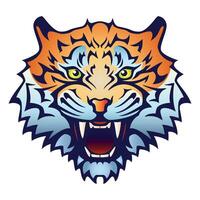 Tiger head with an open mouth and bared fangs - color illustration, isolated on white background vector