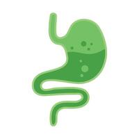 Human entrails stomach, , isolated on white background vector