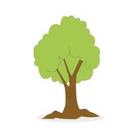 A cartoon tree with a green leaf on it vector