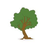 a cartoon tree with a green leaf on it vector