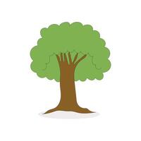 a cartoon tree with a green leaf on it vector
