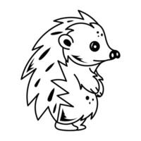 A doodle style icon of cute hiding porcupine vector