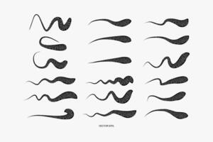 abstract design elements set, including a black, white oval shape, bacteria, virus and germ vector
