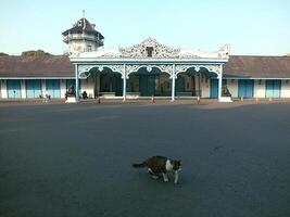 Surakarta, Central Java, Indonesia May 14, 2024. Historical Building of Kasunanan Surakarta Hadiningrat Palace. This palace is a fragment of the Mataram Kingdom photo