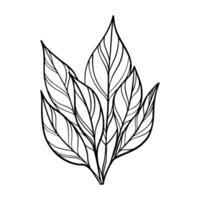 Symmetrical Leaf Patterns A Minimalist Line Art Exploration vector
