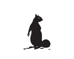squirrel silhouette on white background vector