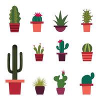 A set of cacti in a flat style vector