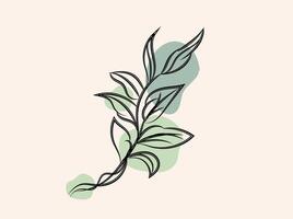 Hand drawn stencil element collection vector