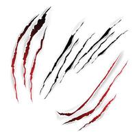 Different scratch Animals Claw with White Background vector