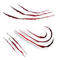 Different scratch Animals Claw with White Background vector