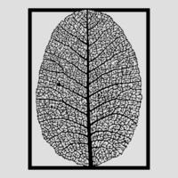 tree leaf with detailed texture in frame for interior decoration vector
