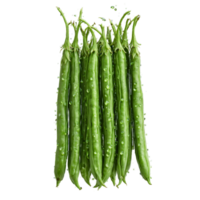 Green beans with slender pods and water droplets in dynamic bunch Food and culinary concept png