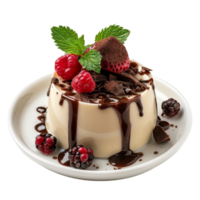 chocolate pudding with berries and chocolate sauce png