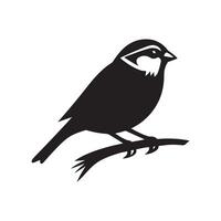 sparrow art illustration vector