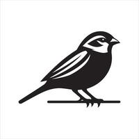 sparrow art illustration vector