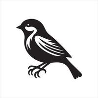 sparrow art illustration vector