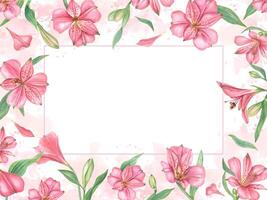 Pink alstroemeria flowers on watercolor texture. Floral horizontal frame with flower, leaf. Botanical painting illustration. Alstromeria template with copy space for text. For design, invitations vector