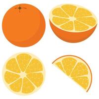 Healthy oranges fresh fruit, whole, half, and quarter isolated on a white background vector