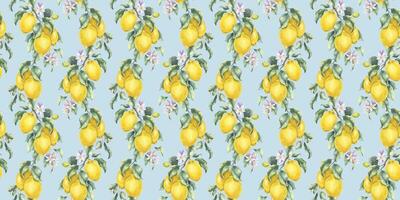 Lemon Branches with fruits and leaves. Hand drawn watercolor seamless pattern. Print of Tropical citrus fruit. Background for menu, package, cosmetic, textile, cards vector