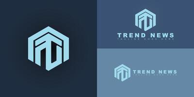 Abstract initial hexagon letters TN or NT logo in blue color isolated on multiple background colors. The logo is suitable for news network logo design illustration inspiration templates. vector