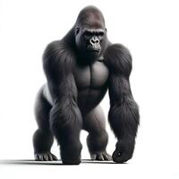A black gorilla standing isolated on white background photo