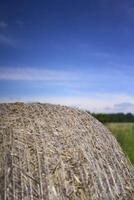 a round stack of hay in front of a clear blue sky in a field photo