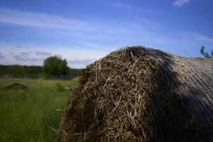 a round stack of hay in front of a clear blue sky in a field photo