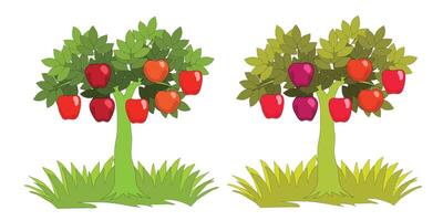 Apple fruit tree in flat design. Illustration isolated on dark background. vector