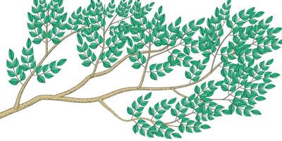 Tree with green leaves illustration style. Isolated on white background suitable for brochure, leaflet, booklet. vector
