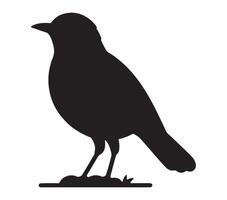 American Robin Black Silhouette on white background vector