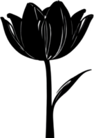 Charming tulip clipart adds spring vibes. AI-generated. png
