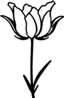 Charming tulip clipart adds spring vibes. AI-generated. png