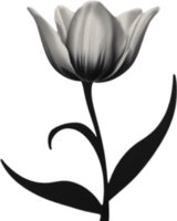 Charming tulip clipart adds spring vibes. AI-generated. png