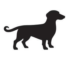 Alpine Dachsbracke Black Silhouette on white background vector