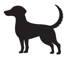 Alpine Dachsbracke Black Silhouette on white background vector