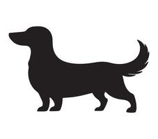 Alpine Dachsbracke Black Silhouette on white background vector
