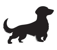 Alpine Dachsbracke Black Silhouette on white background vector