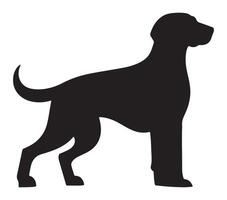 American Foxhound Black Silhouette on white background vector