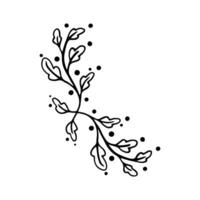 Hand drawn set of line frames on a white background. Corner Border Eklement. Sketch elements of floral and herbs ornaments for banner design. Line border collection. Vintage border. vector