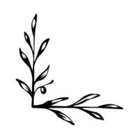 Hand drawn set of line frames on a white background. Corner Border Eklement. Sketch elements of floral and herbs ornaments for banner design. Line border collection. Vintage border. vector