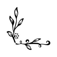 Hand drawn set of line frames on a white background. Corner Border Eklement. Sketch elements of floral and herbs ornaments for banner design. Line border collection. Vintage border. vector