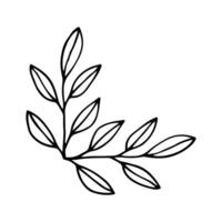 Hand drawn set of line frames on a white background. Corner Border Eklement. Sketch elements of floral and herbs ornaments for banner design. Line border collection. Vintage border. vector