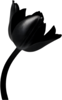 Charming tulip clipart adds spring vibes. AI-generated. png