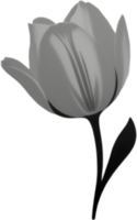 Charming tulip clipart adds spring vibes. AI-generated. png