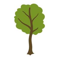 Tree with green leaves vector