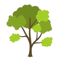 Tree with green leaves vector